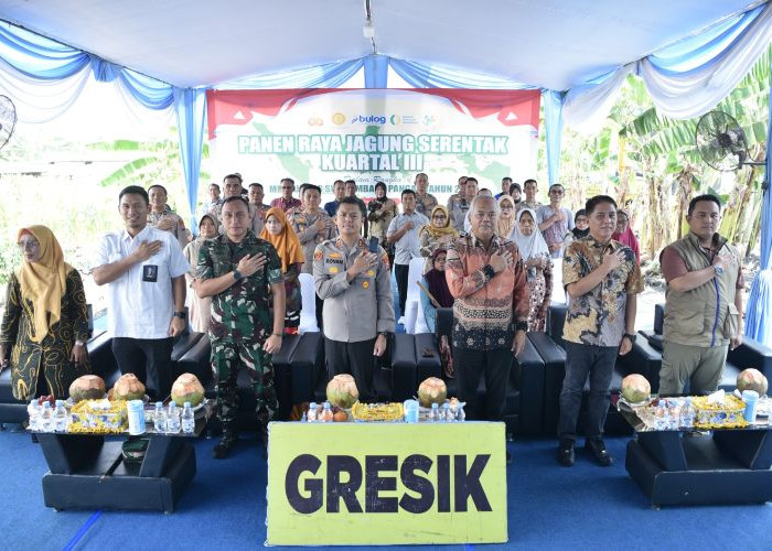 Polres Gresik Panen Jagung 5 Ton, Dukung Swasembada Pangan Nasional