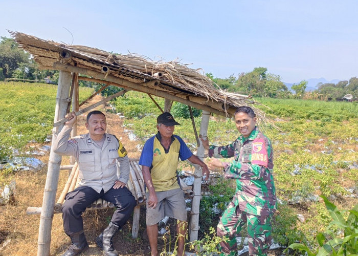 Perkuat Ketahanan Pangan, Bhabinkamtibmas Dermo Dampingi Petani Jagung di Kediri Kota