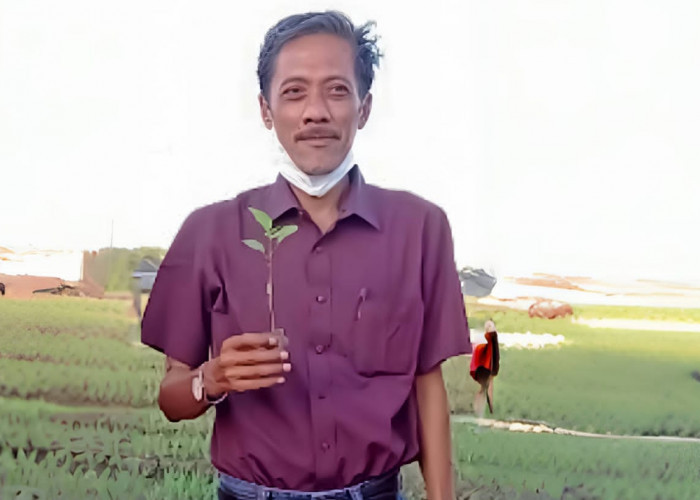 Desa Wonoplintahan Dorong Pertumbuhan Ekonomi Warga Lewat UMKM dan Pertanian