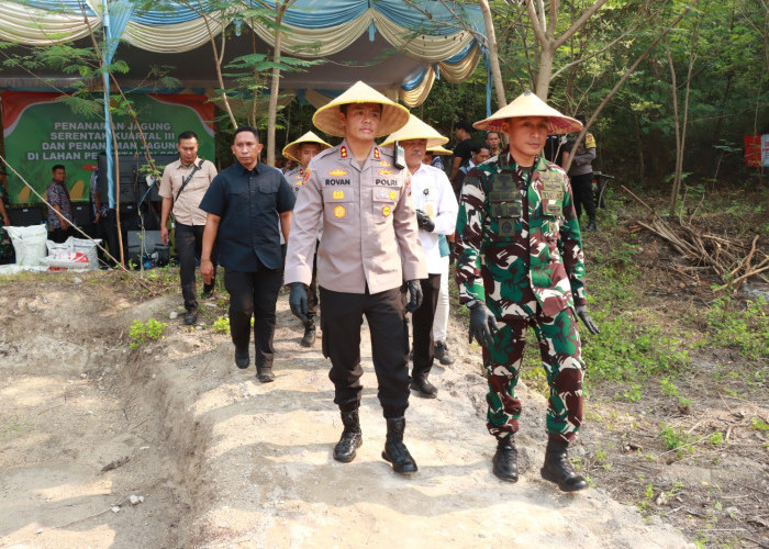Polres Gresik Genjot Swasembada Pangan Lewat Tanam Jagung Serentak di Randu Agung