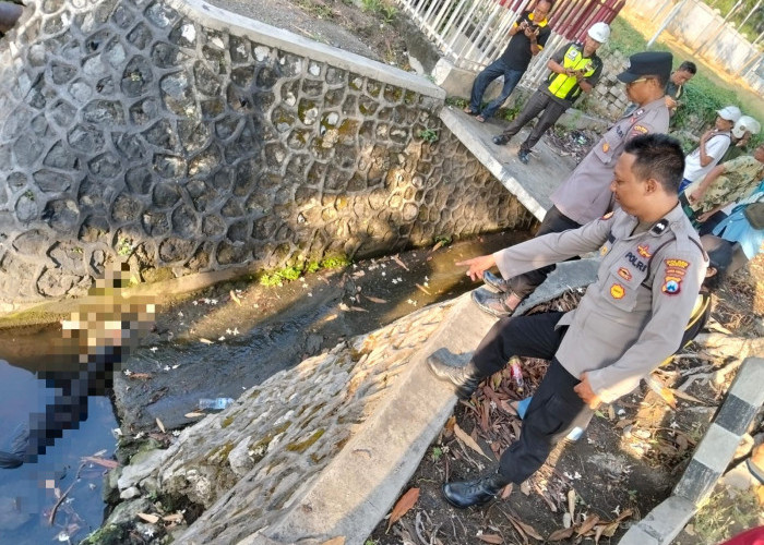 Tragis! Penjual Buah Ditemukan Tewas Tergeletak dalam Selokan Dekat Stadion Semen Gresik