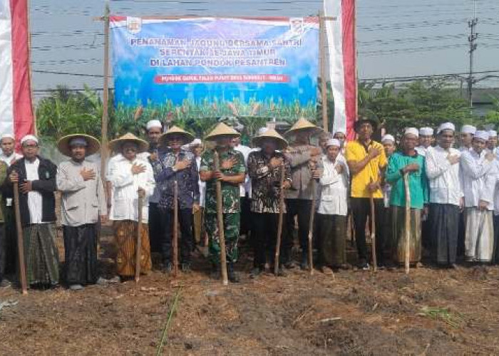 Forkopimka Krian Tanam Jagung Bersama Santri di Ponpes Darul Falah Sidoarjo