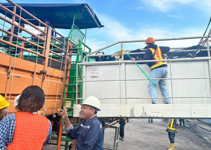 Perkuat Ketahanan Pangan, Pelindo 3 Siapkan Karantina Hewan di Cilacap