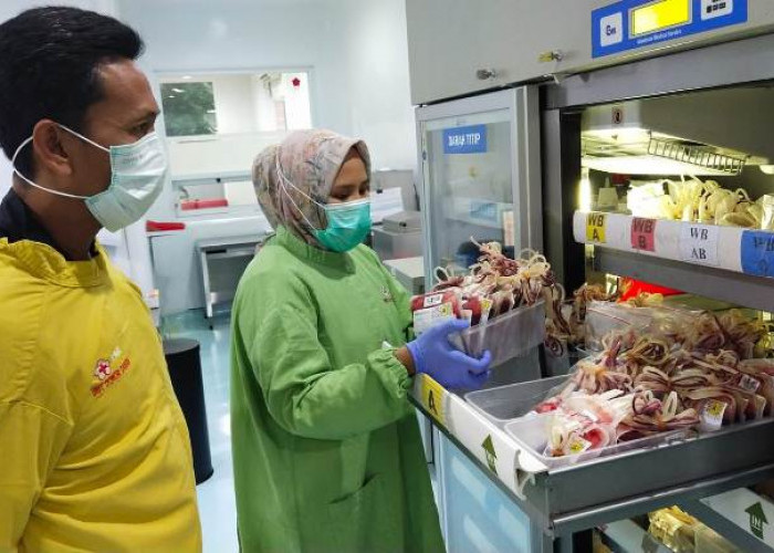 PMI Jember Siapkan 100 Kantong Darah untuk Korban Bencana Sumatera–Aceh