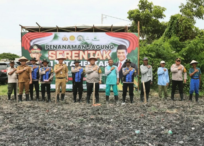 Polres Pelabuhan Tanjung Perak Tanam Jagung, Dukung Swasembada Pangan 2025