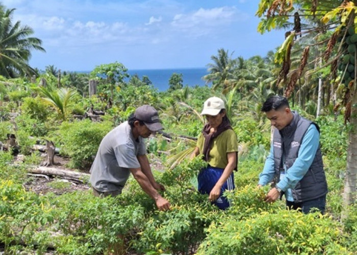 Di Tengah Bentang Kepulauan Talaud, Mantri BRI Hadir Menggerakkan Denyut Nadi Perekonomian 