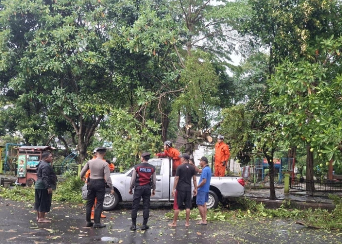 Gerak Cepat Polisi Bersama BPBD dan Warga Evakuasi Pohon Tumbang di Wilayah Kota Kediri