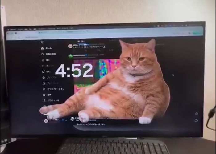 Atasi Kecanduan Scrolling, Ekstensi Cat Gatekeeper Hadirkan Kucing Oranye Sebagai Penjaga Fokus Anda