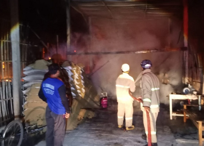Kandang Terbakar di Blitar, 21 Ribu Anakan Ayam Terpanggang Hidup-hidup, Rugi Rp1 Miliar