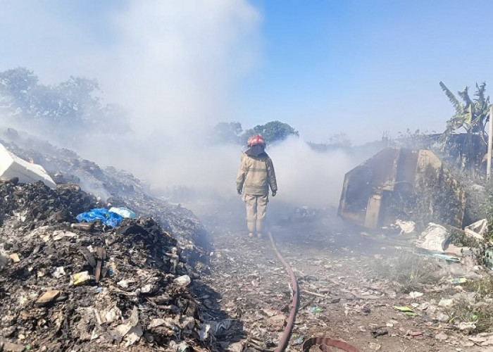  Kandang Ternak di Menganti Gresik Terbakar, Kerugian Ditaksir Rp 50 Juta