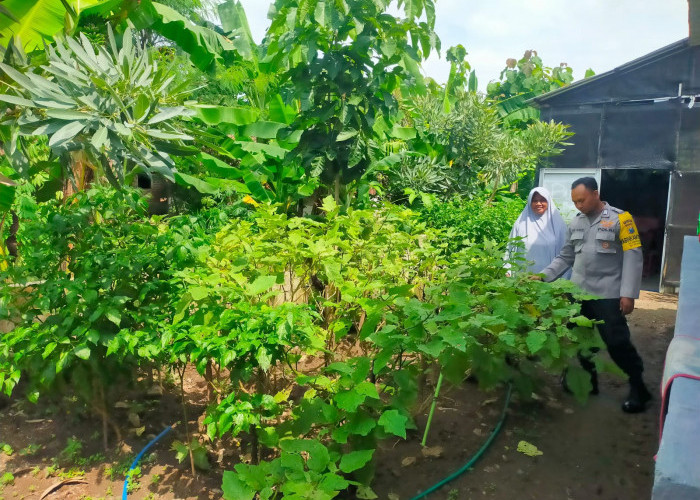Bhabinkamtibmas Kwadungan Monitoring Tanaman Terong dan Cabai, Perkuat Ketahanan Pangan di Ngawi 