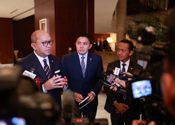 Pemerintah Sebut Minat Investasi dari Jepang di Indonesia Cukup Tinggi di Tengah Gejolak Global