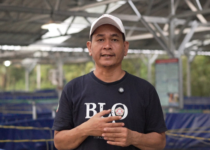 Program MBG Dorong Rantai Pasok Lokal, Budidaya Lele di Blora Jadi Tulang Punggung Ekonomi Warga