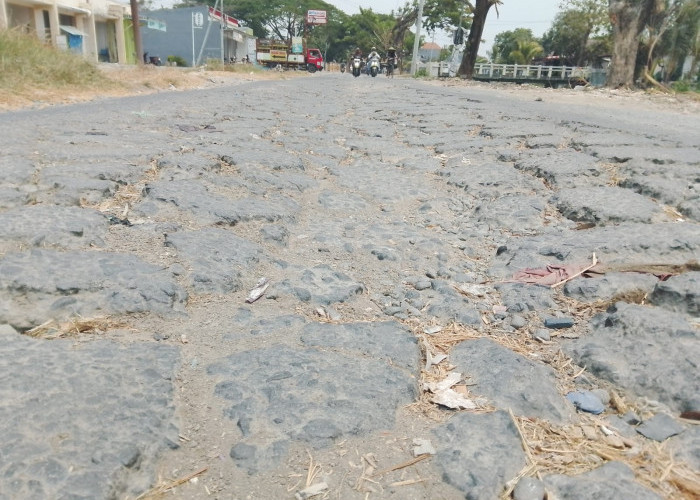 Hancur Bertahun-tahun, Jalan Dapur Utara Lamongan Akhirnya Dicor Tahun Ini