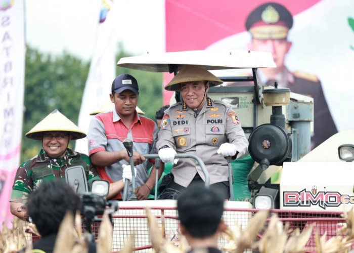 Wujudkan Ketahanan Pangan, Irwasum Polri Panen Jagung Berserta Elemen Mahasiswa di Madiun