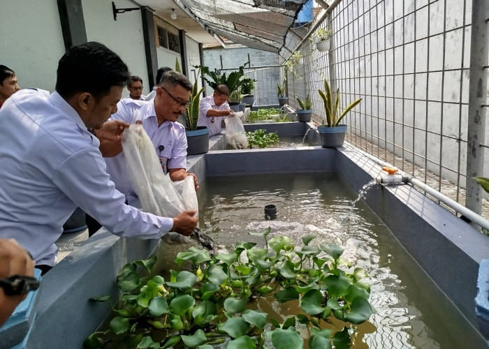 Tebar 2000 Benih Ikan Nila, Lapas Jember Wujudkan Ketahanan Pangan dan Asah Kemandirian Warga Binaan