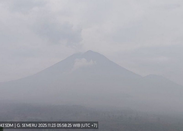 Semeru Masih Erupsi Aktif, Pemkab Lumajang Perketat Mitigasi dan Jalur Komunikasi Resmi