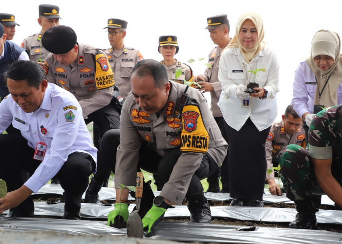 Wujudkan Ketahanan Pangan di Tengah Keterbatasan Lahan