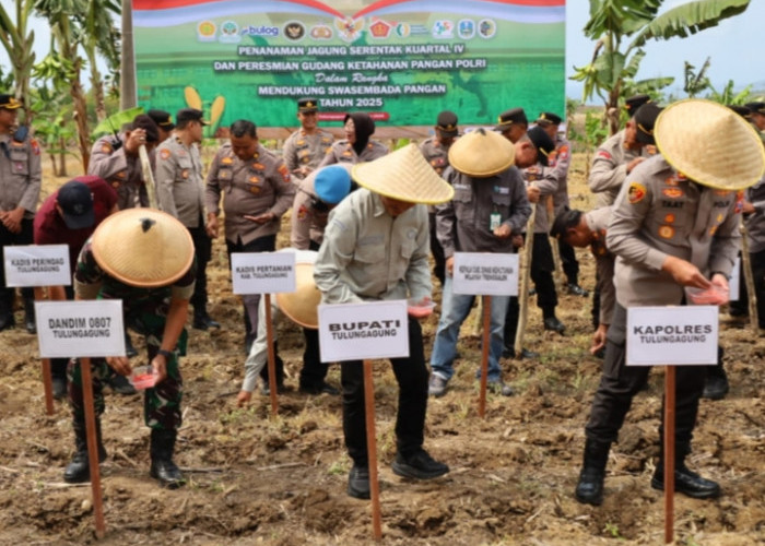 Polres Tulungagung bersama Forkopimda Kompak Tanam Jagung Kuartal IV