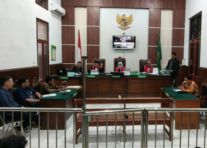 Paket Pakan Kucing Berubah Jadi Baju Bekas, Saksi Ungkap Kekecewaan di PN Surabaya 