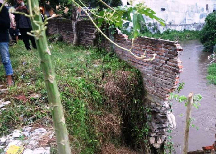 Atasi Banjir Tahunan, Bupati Jember Siap Bongkar Belasan Rumah di Bantaran Sungai