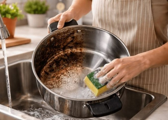 Cara Mudah Hilangkan Noda Bekas Lemak di Wadah Makanan