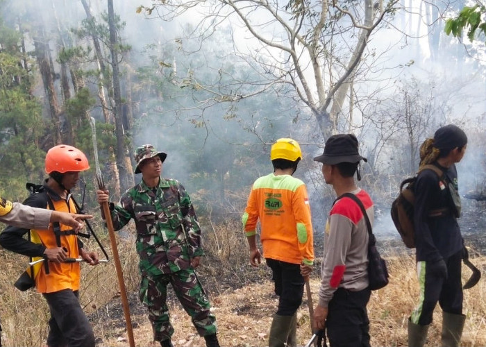 Polisi Ngawi dan Tim Gabungan Berjibaku Padamkan Karhutla di Gunung Botak