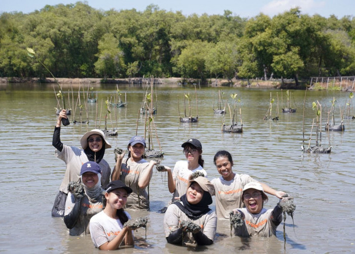 Tanam 1.000 Bibit Mangrove, Kolaborasi Pemkot Bersama WVI Jaga Kelestarian Lingkungan Pesisir Surabaya