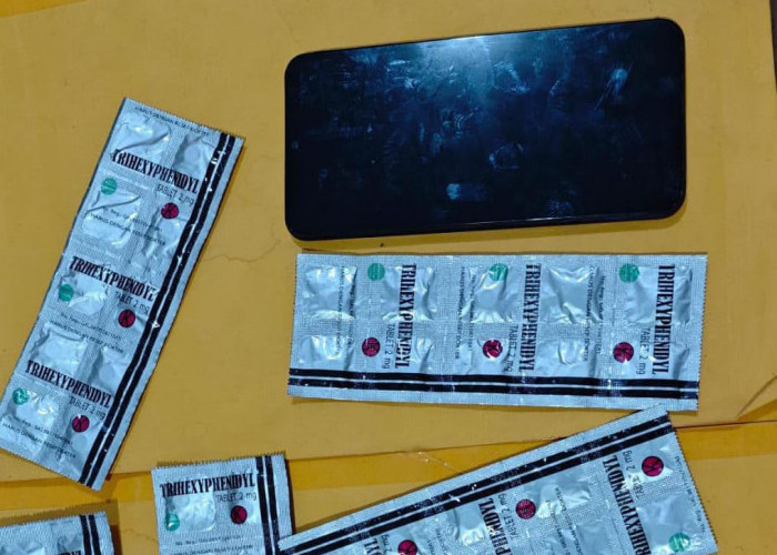 Tak Jera, Residivis Pengedar Trihexyphenidyl Dibekuk Satresnarkoba Polres Ngawi 
