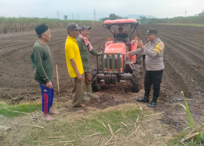 Perkuat Ketahanan Pangan, Bhabinkamtibmas Pakunden Aktif Dampingi Petani Jagung