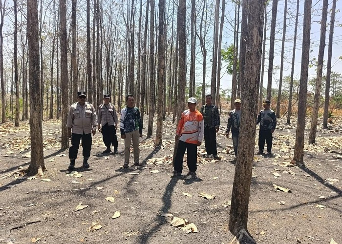 Antisipasi Karhutla, Polisi dan BKPH Sisir Kawasan Hutan Kedungadem Bojonegoro