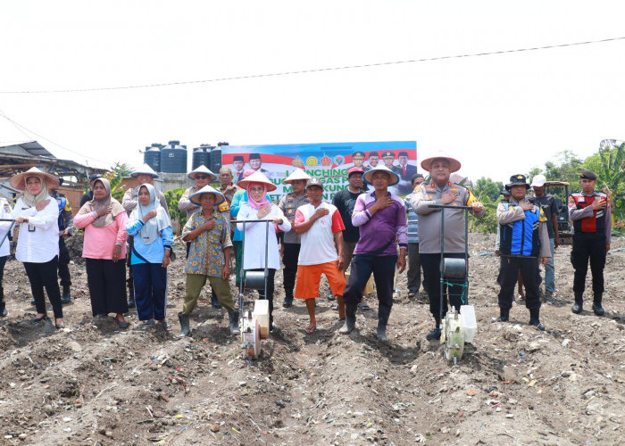 Kapolres Pelabuhan Tanjung Perak Tanam Jagung, Ajak Warga Surabaya Jaga Ketahanan Pangan