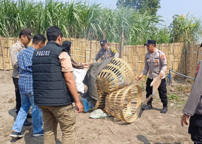 Respons Aduan Warga, Polsek Kandat Gerebek Lokasi Judi Sabung Ayam di Ringinsari