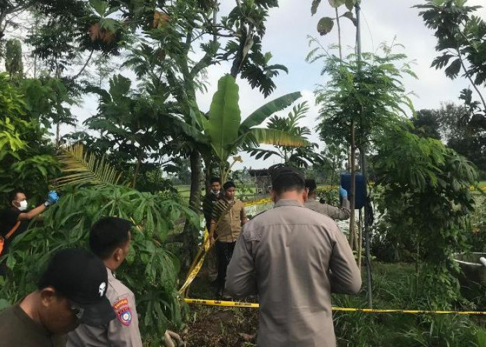 Diduga Tersengat Listrik Sibel, Warga Ponorogo Meninggal Dunia di Sawah