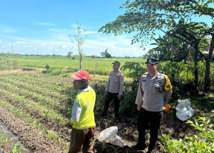 Dukung Ketahanan Pangan, Bhabinkamtibmas Polsek Tarokan Lakukan Pengecekan dan Edukasi di Dusun Becek