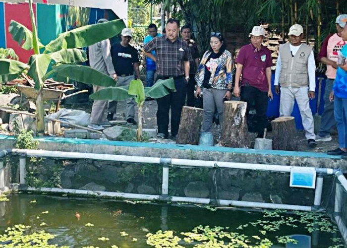 Pokdakan Caping Mina Manggala Targetkan Hasil Panen Suplai MBG Balas Klumprik