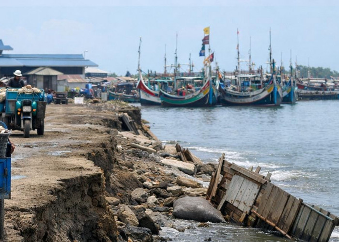 Urat Nadi Ekonomi Terancam Lumpuh, Jalan Akses Kolam Labuh Puger Hancur Tergerus Abrasi