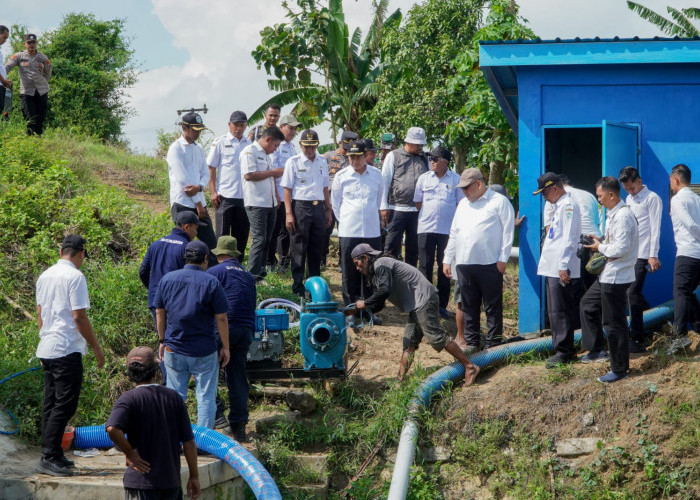 Mitigasi El Nino, Petani Lamongan Tetap Optimis