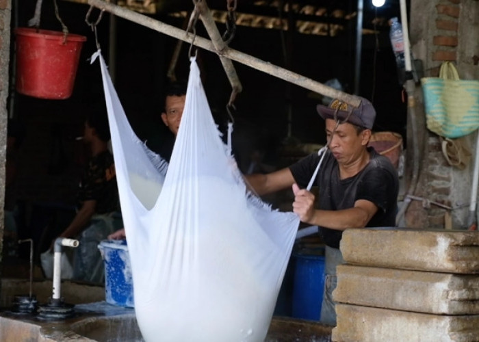  Program MBG Dongkrak Penghasilan Pekerja Pabrik Tahu di Ngawi dan Tingkatkan Produksi UMKM