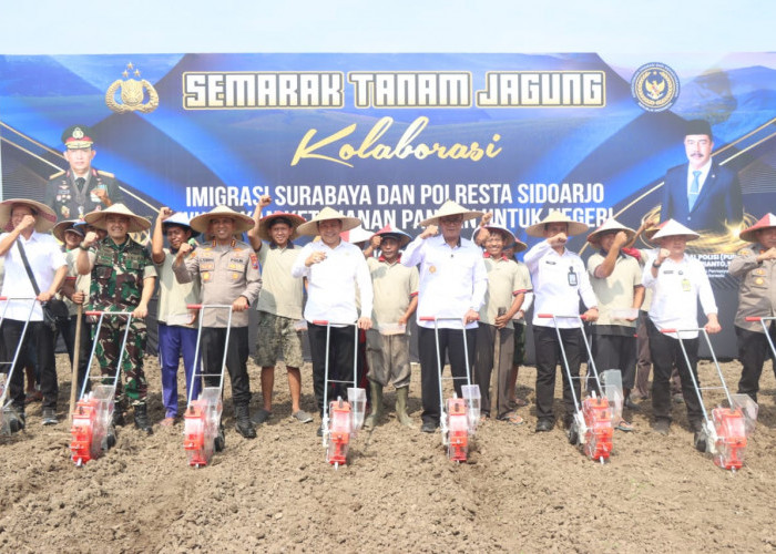 Imigrasi Surabaya dan Polresta Sidoarjo Kolaborasi Dukung Ketahanan Pangan lewat Semarak Tanam Jagung