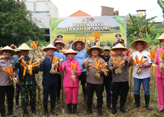 Polres Pelabuhan Tanjung Perak Panen Raya Jagung Ke-7, Perkuat Ketahanan Pangan Menuju Indonesia Emas