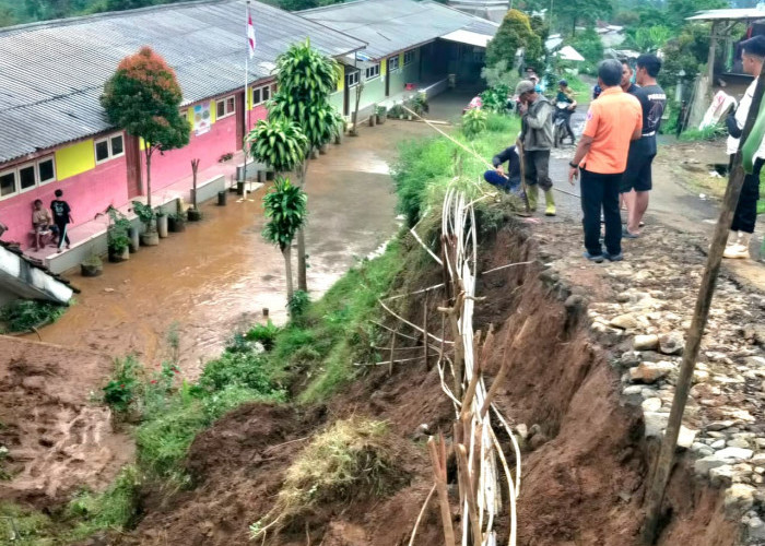 Longsor Terjang Tutur dan Puspo, Sejumlah Sekolah Ikut Terdampak