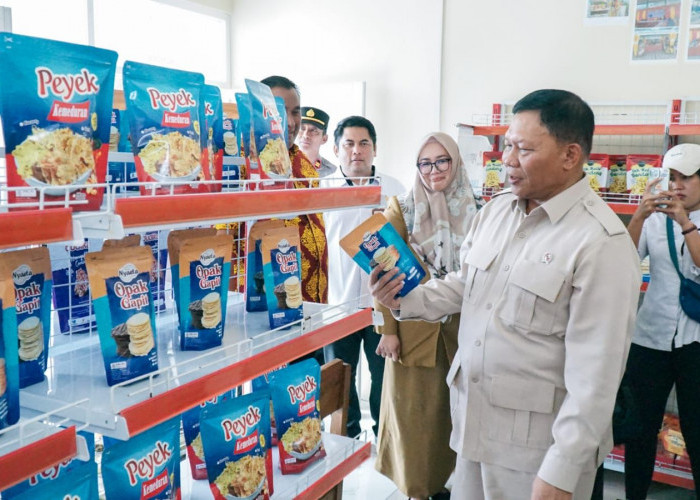 Wamen KKP Tinjau Pembentukan Koperasi Merah Putih di Gresik