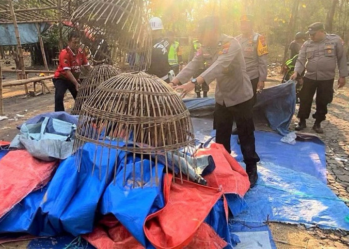 Arena Judi Sabung Ayam di Hutan Jati Jombang Digerebek, Pejudi Kabur