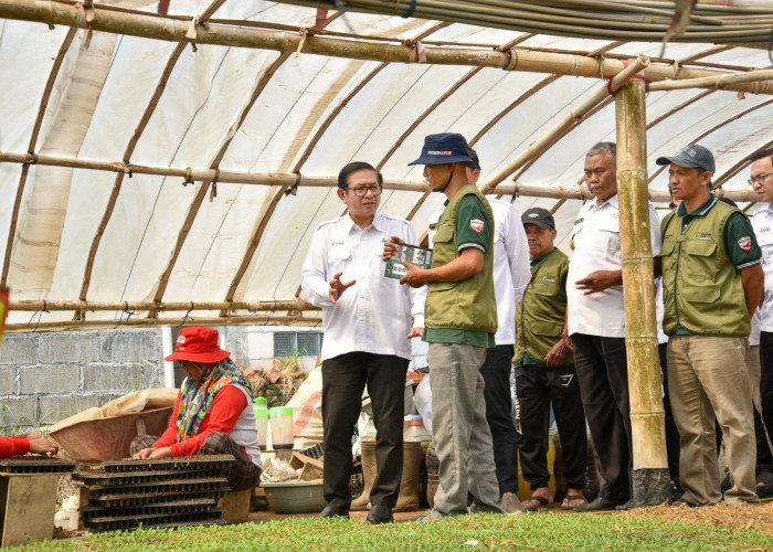 Tawangargo Smart-eco Farming Village Sulap Desa Jadi Pusat Hortikultura 