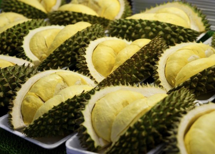 Kenali Penyebab Pusing Setelah Makan Durian dan Cara Ampuh Mengatasinya Menurut Penjelasan Ilmiah