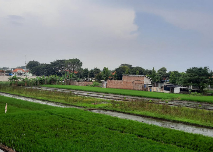 Petani Kota Pasuruan Sumringah, Pemkot Bebaskan Tarif PBB-P2