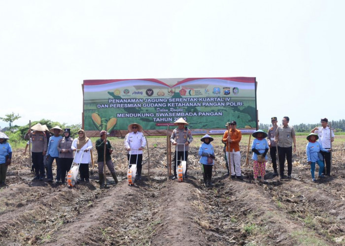 Implementasi Asta Cita Presiden, Polresta Banyuwangi Tanam Jagung Serentak Kuartal IV 2025