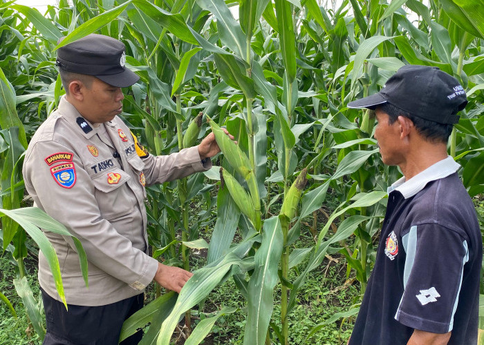 Bhabinkamtibmas Desa Bakung Temenggungan Masifkan Program Ketahanan Pangan Polresta Sidoarjo