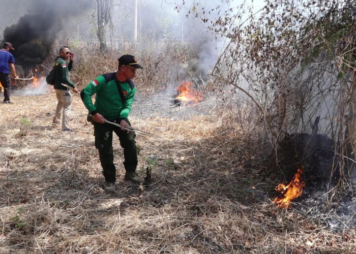 Hutan Waduk Bening Terbakar, Diatasi dalam Simulasi